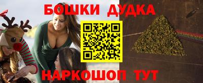 гашик Кинель