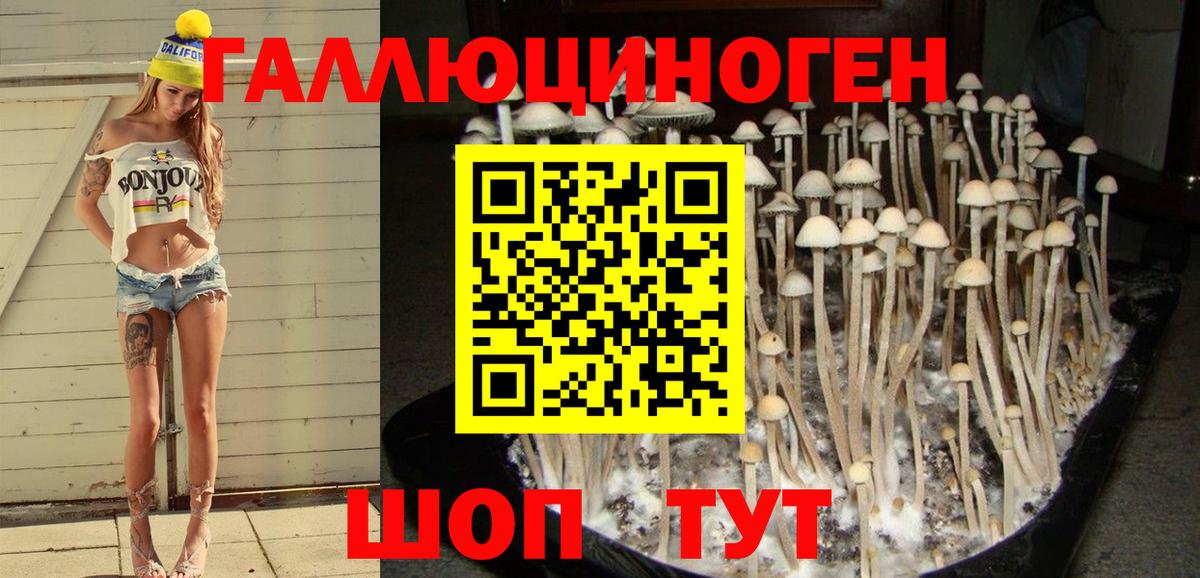 Меф кристаллы  ГАШ  LSD-25  КОКАИН  ГАШ  Марихуана  Курчалой  Вход с VPN 