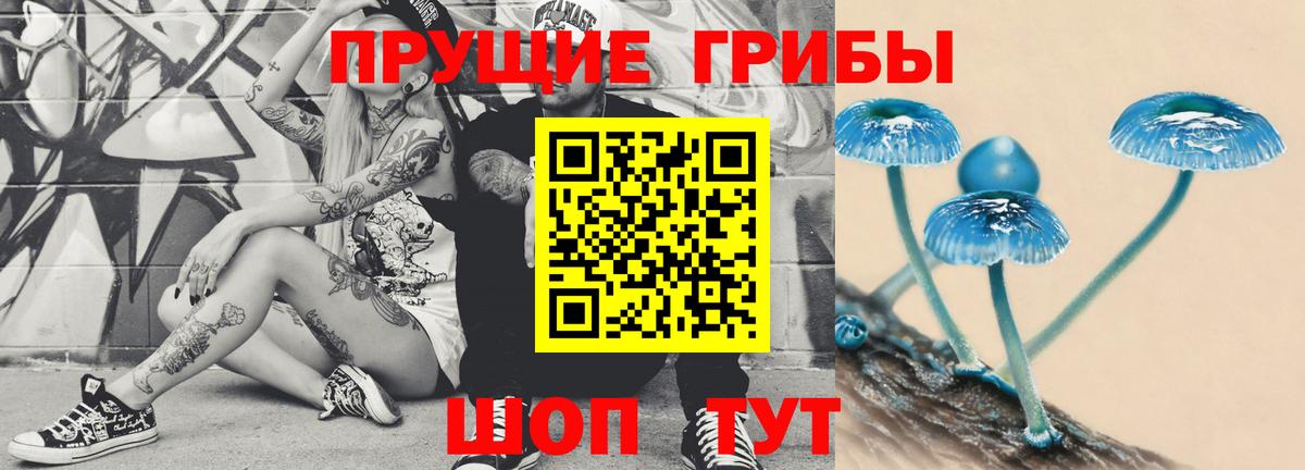 Галлюциногенные грибы мицелий  Вход с VPN  даркнет сайт  Курчалой 